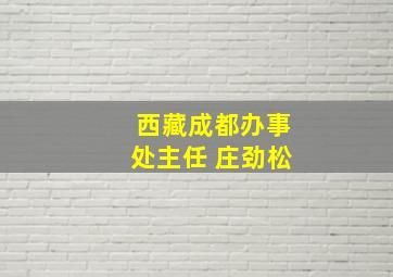 西藏成都办事处主任 庄劲松